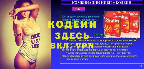 ГАЛЛЮЦИНОГЕННЫЕ ГРИБЫ Гусь-Хрустальный