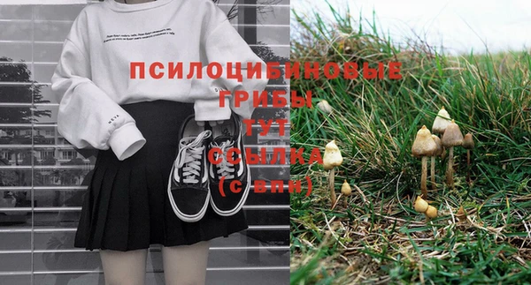 твердый Дмитровск